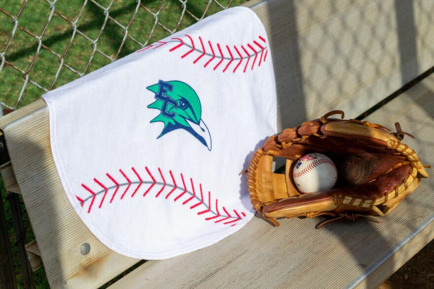 FRBB-20 Baseball Towel